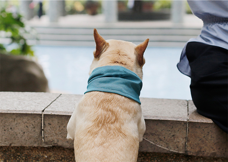 Dog Instant Cooling Bandana