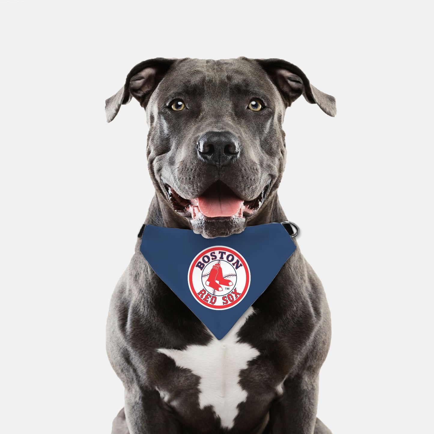 Bandana Collar - Boston Red Sox