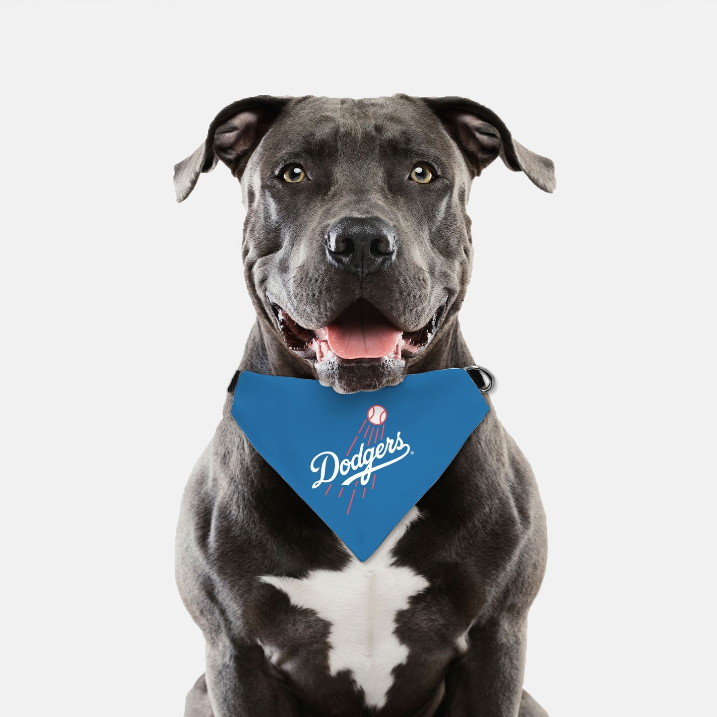 Bandana Collar - LA Dodgers