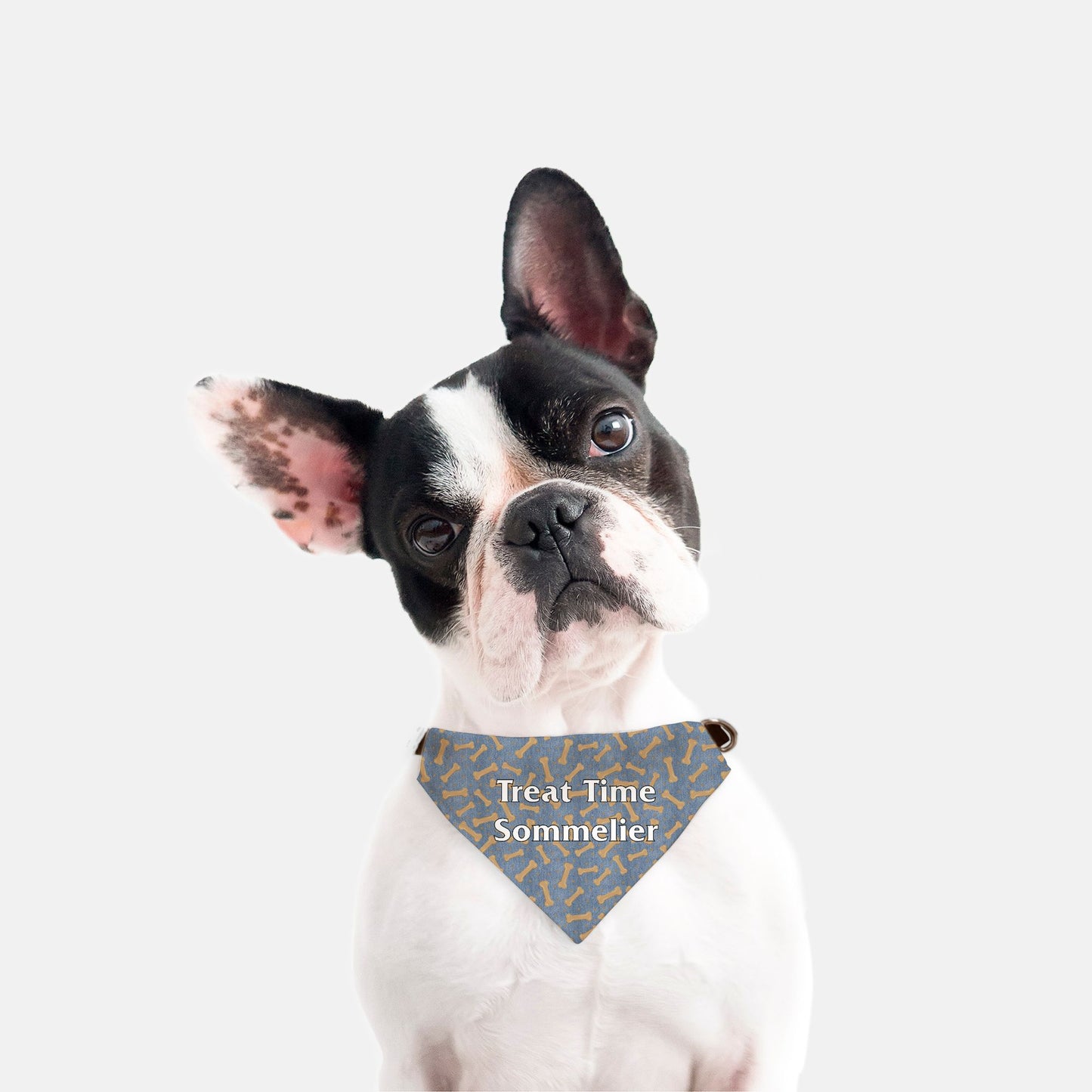 Bandana Collar - Treat Time Sommelier