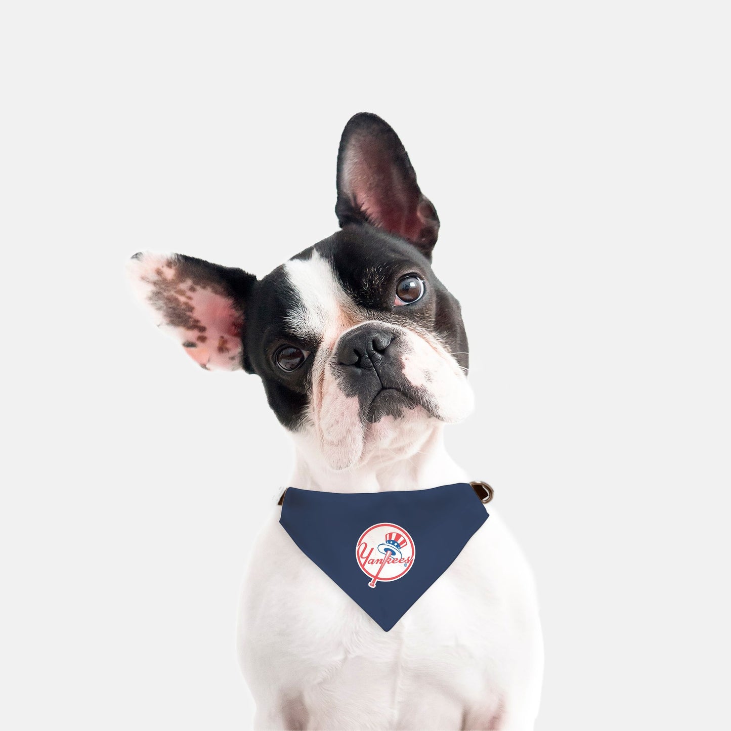Bandana Collar - New York Yankees