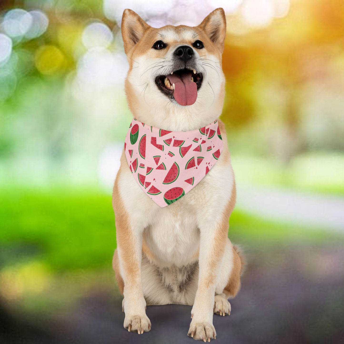 Bandana Collar - Summer Watermelon