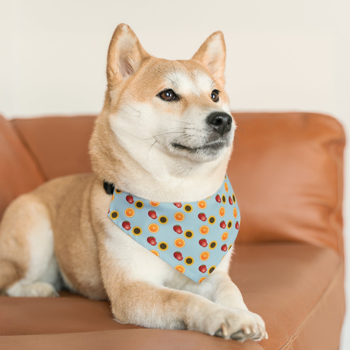 Bandana Collar - Summer Pattern