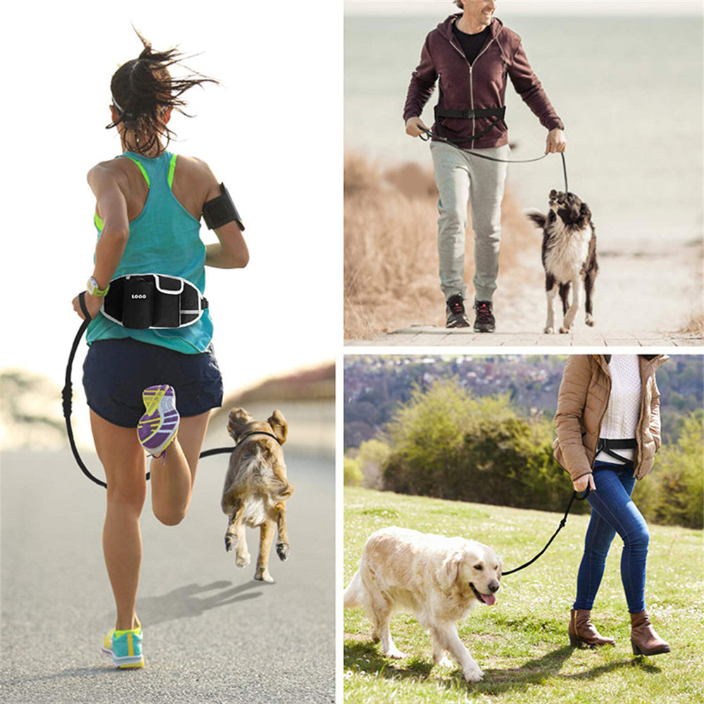 Hands Free Running Leash and Bag