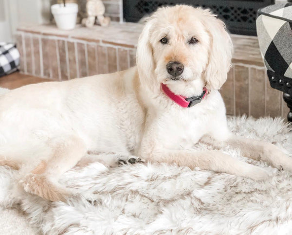 Plush Fur Dog Mat