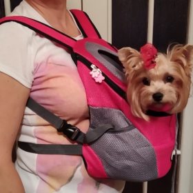 Pet Backpack for Smaller Dogs