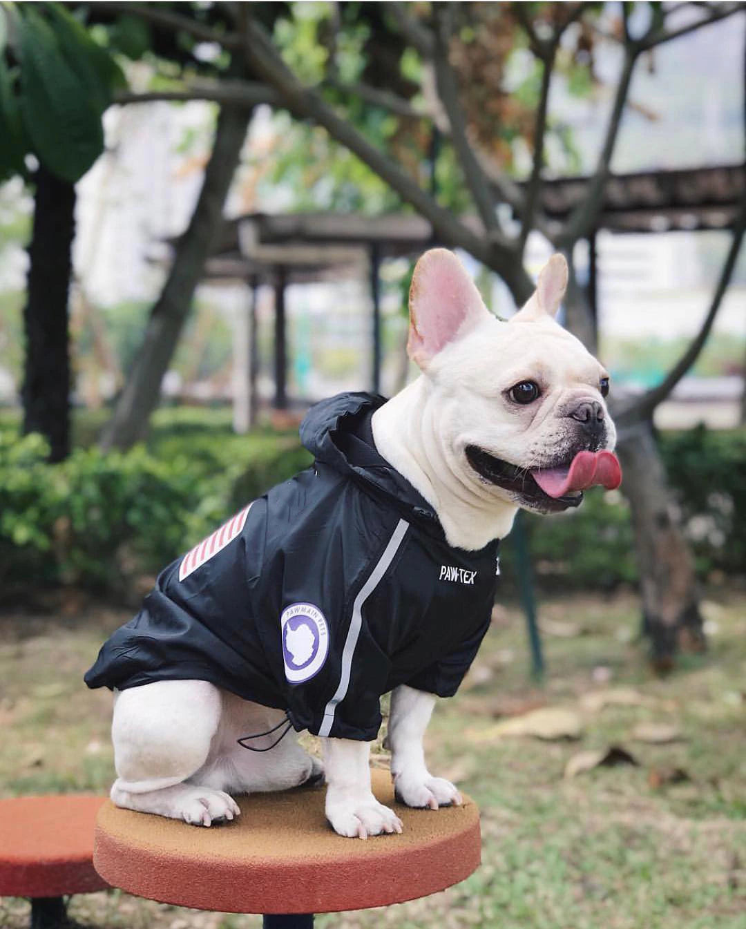Pupreme Storm Suit