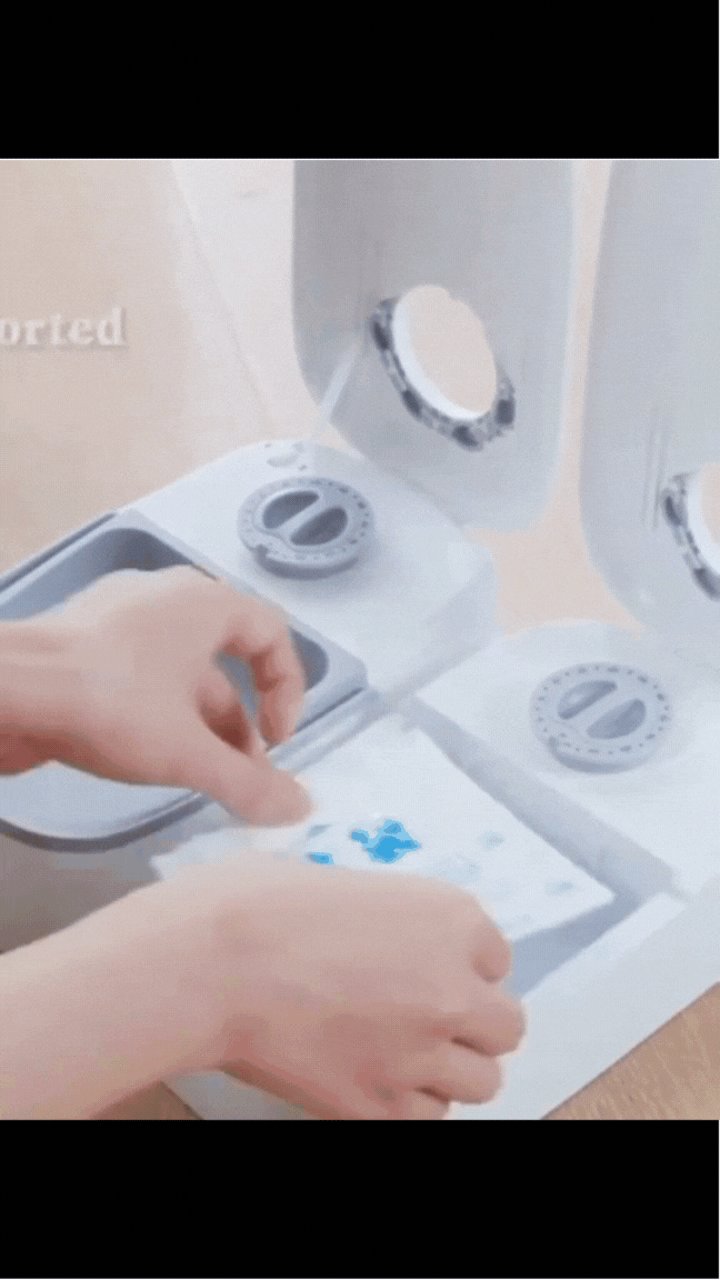 Automatic Food & Water Dispenser