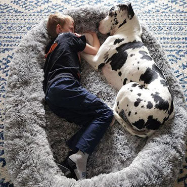 Pupreme Giant Human & Pet Bed
