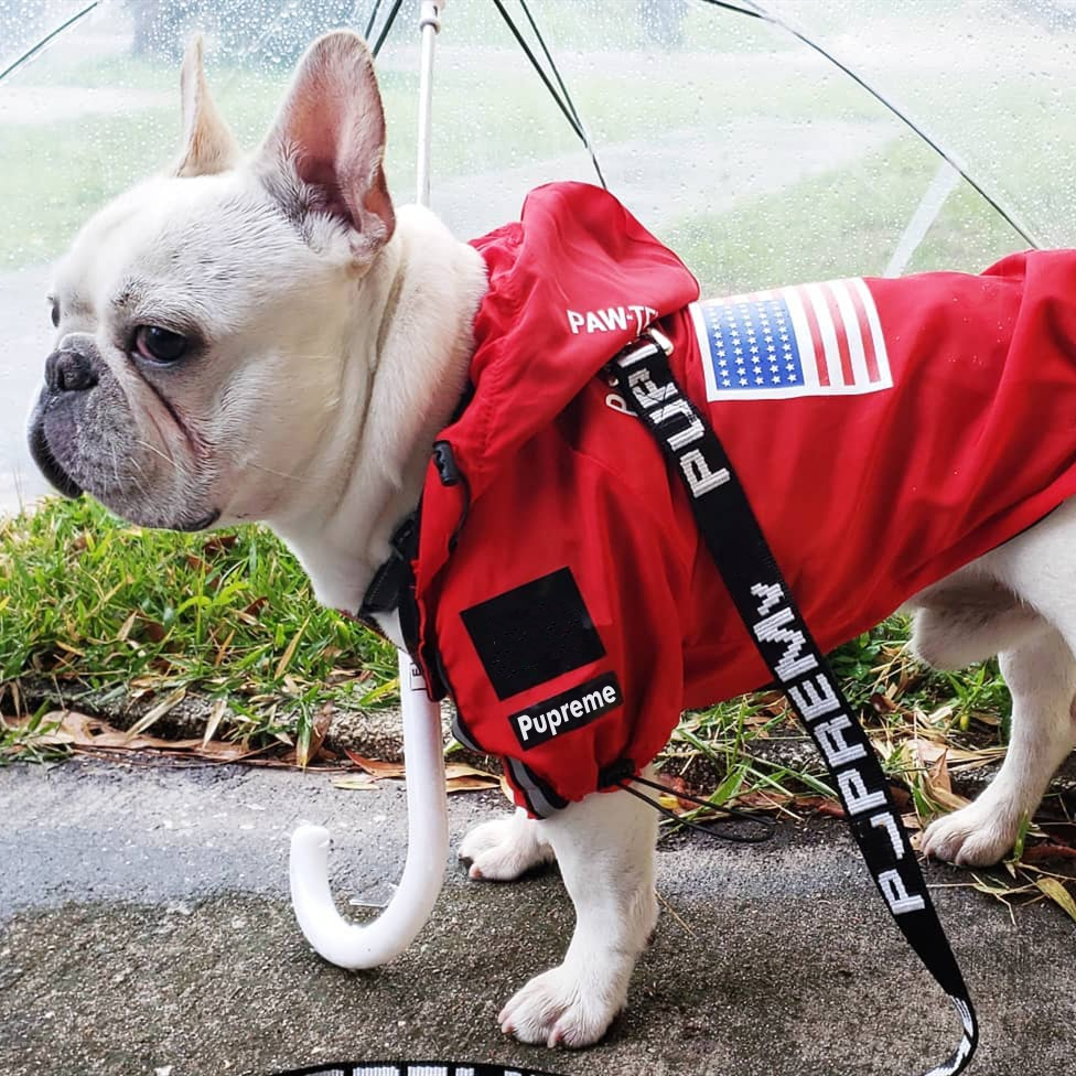 Pupreme Storm Suit