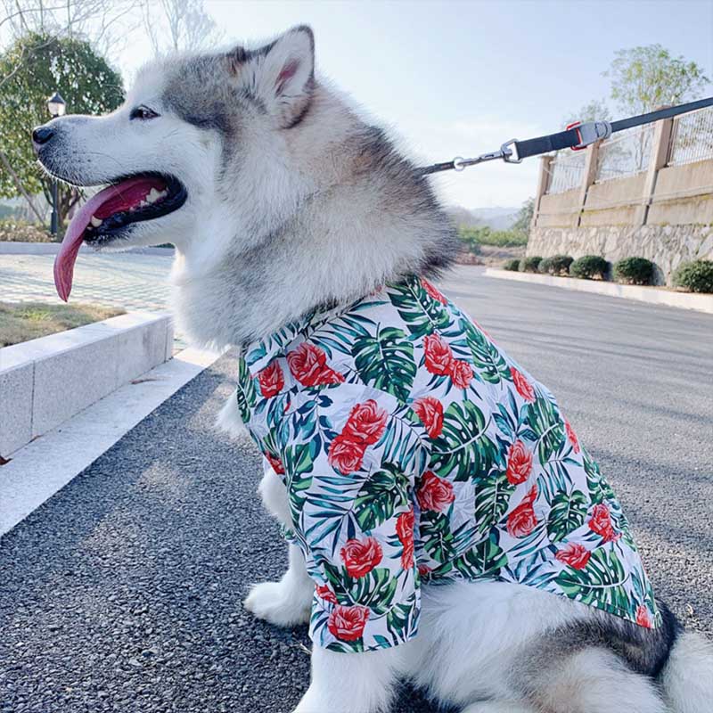 Large Dog Hawaiian Shirt