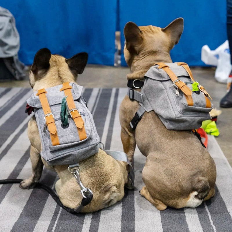 Pupreme Dog Backpack