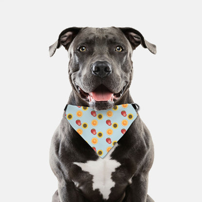 Bandana Collar - Summer Pattern