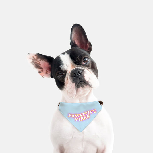 Bandana Collar - Pawsitive Vibes