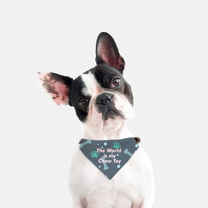 Bandana Collar - The World is My Chew Toy