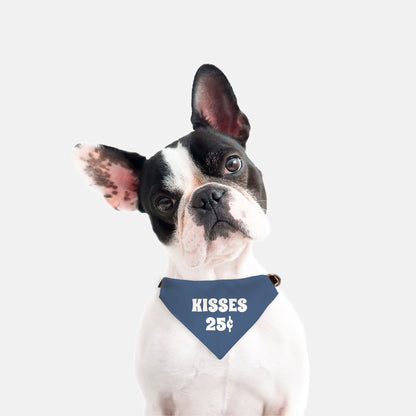 Collar Pet Bandana - Blue Kisses