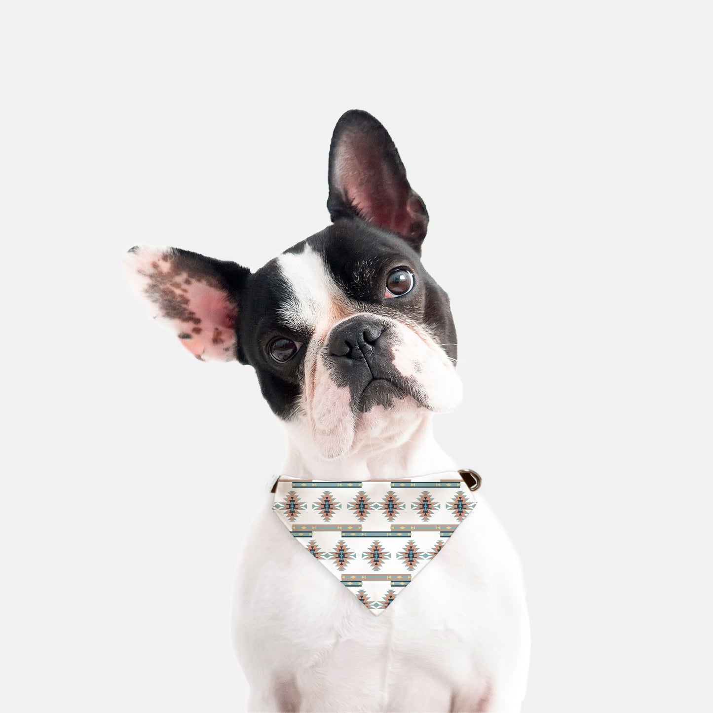 Bandana Collar - Tribal Print 1