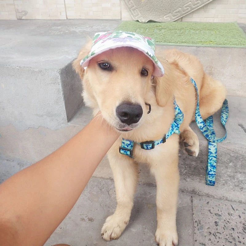 Dog Baseball Hat