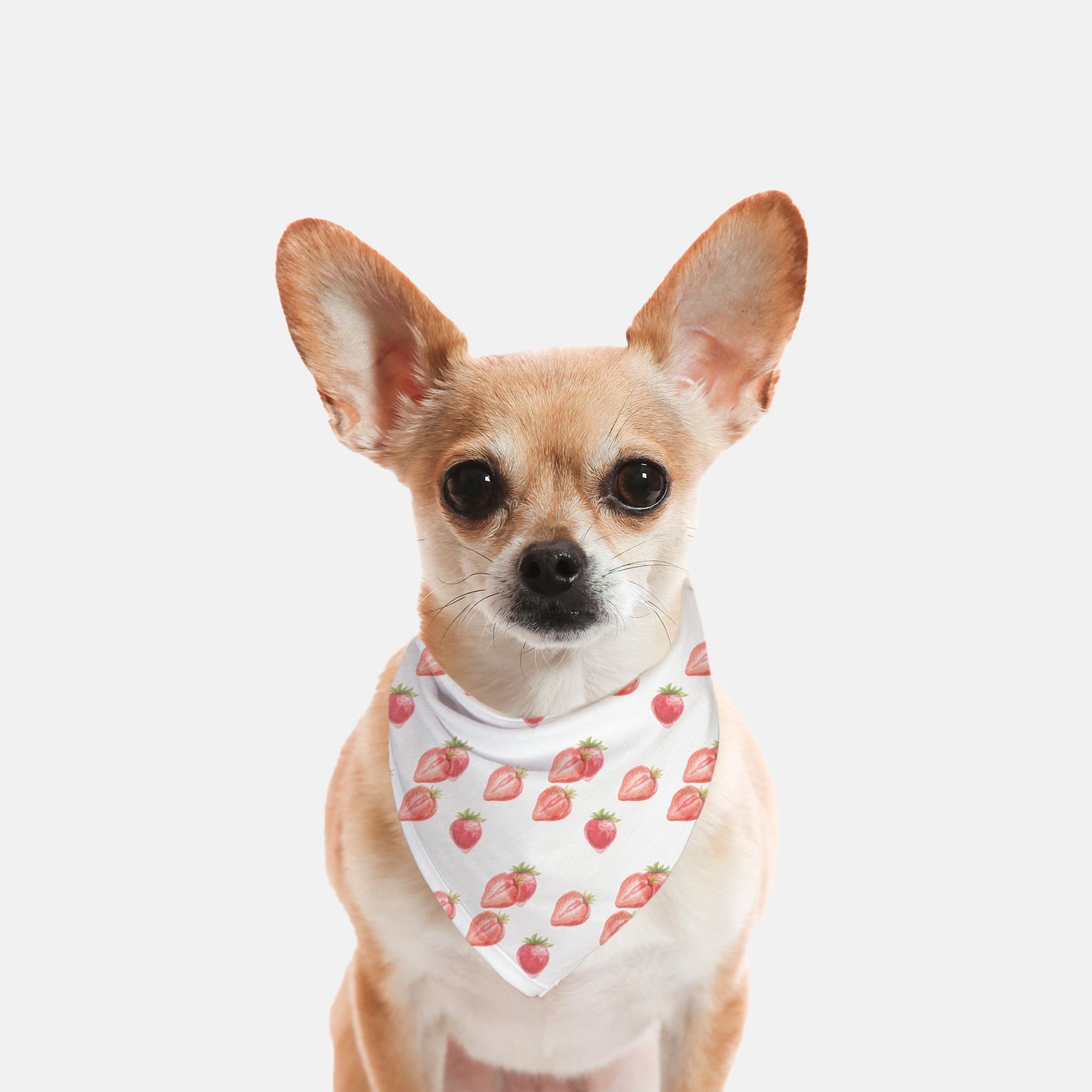 Dog Bandana - Summer Strawberries