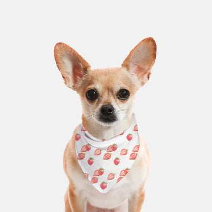 Dog Bandana - Summer Strawberries