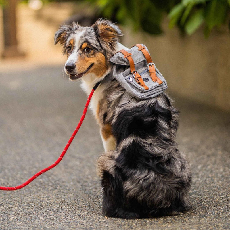 Pupreme Dog Backpack