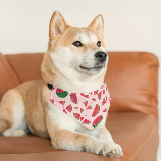 Bandana Collar - Summer Watermelon