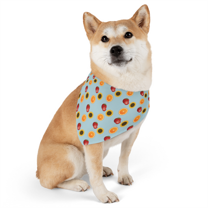 Bandana Collar - Summer Pattern