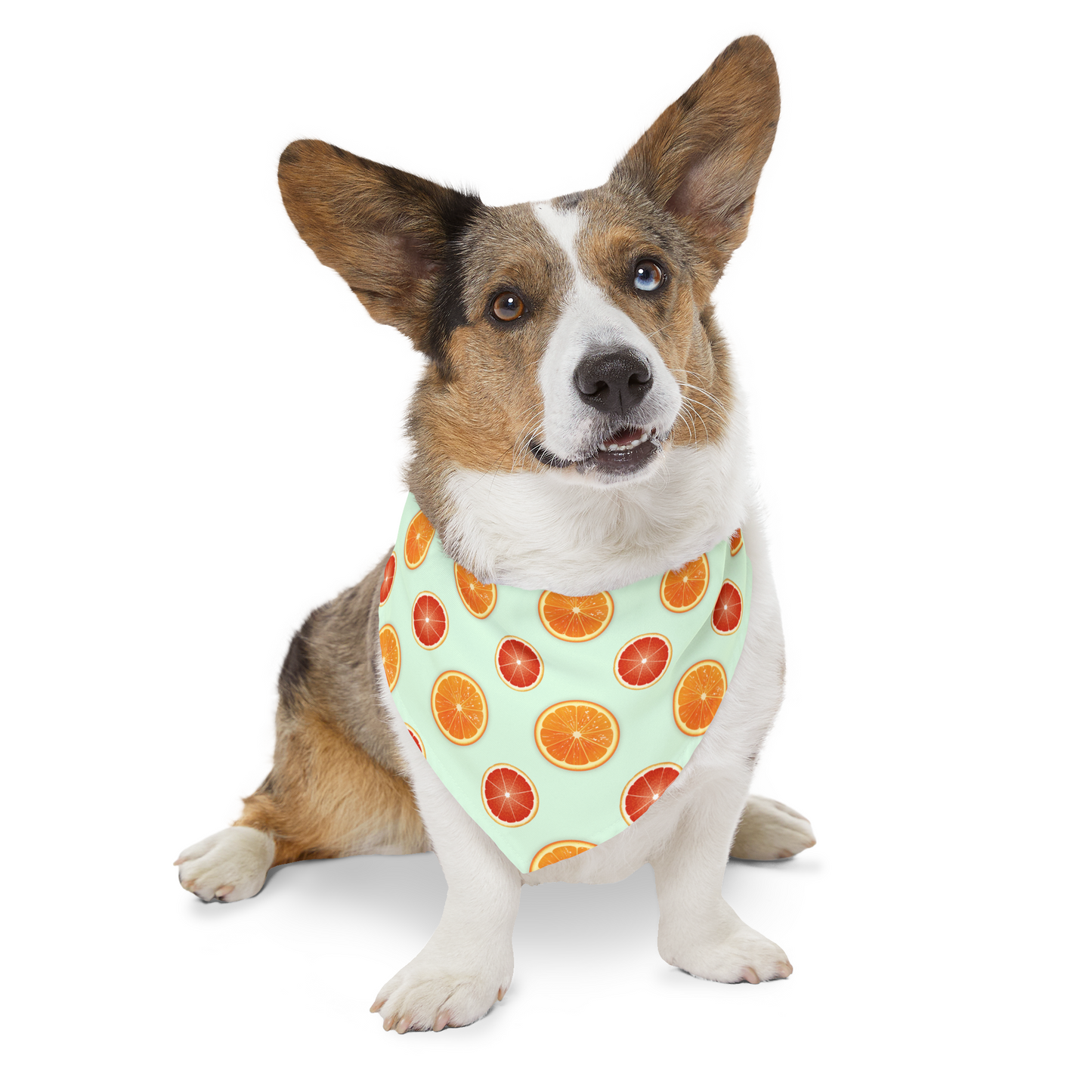 Bandana Collar - Summer Citrus