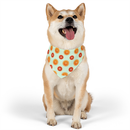 Bandana Collar - Summer Citrus