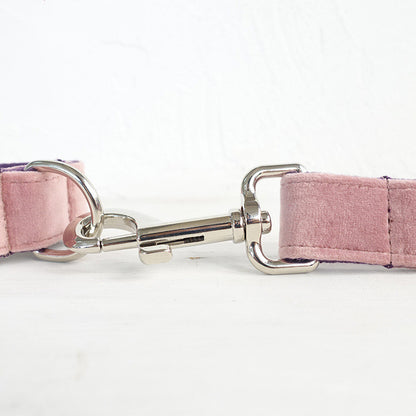 Pink Dog Collar Leash with Bow