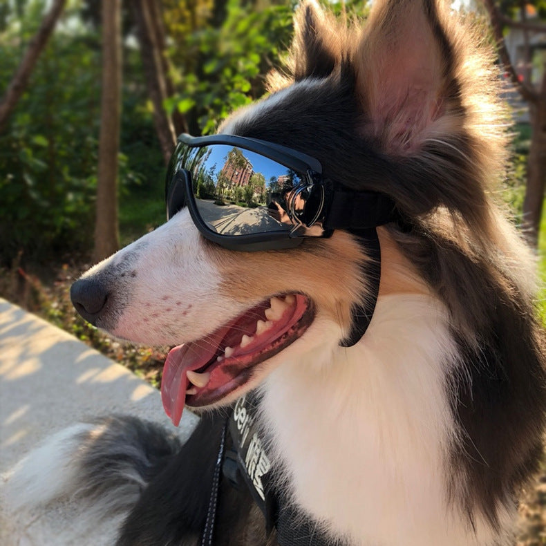 Pet Shades