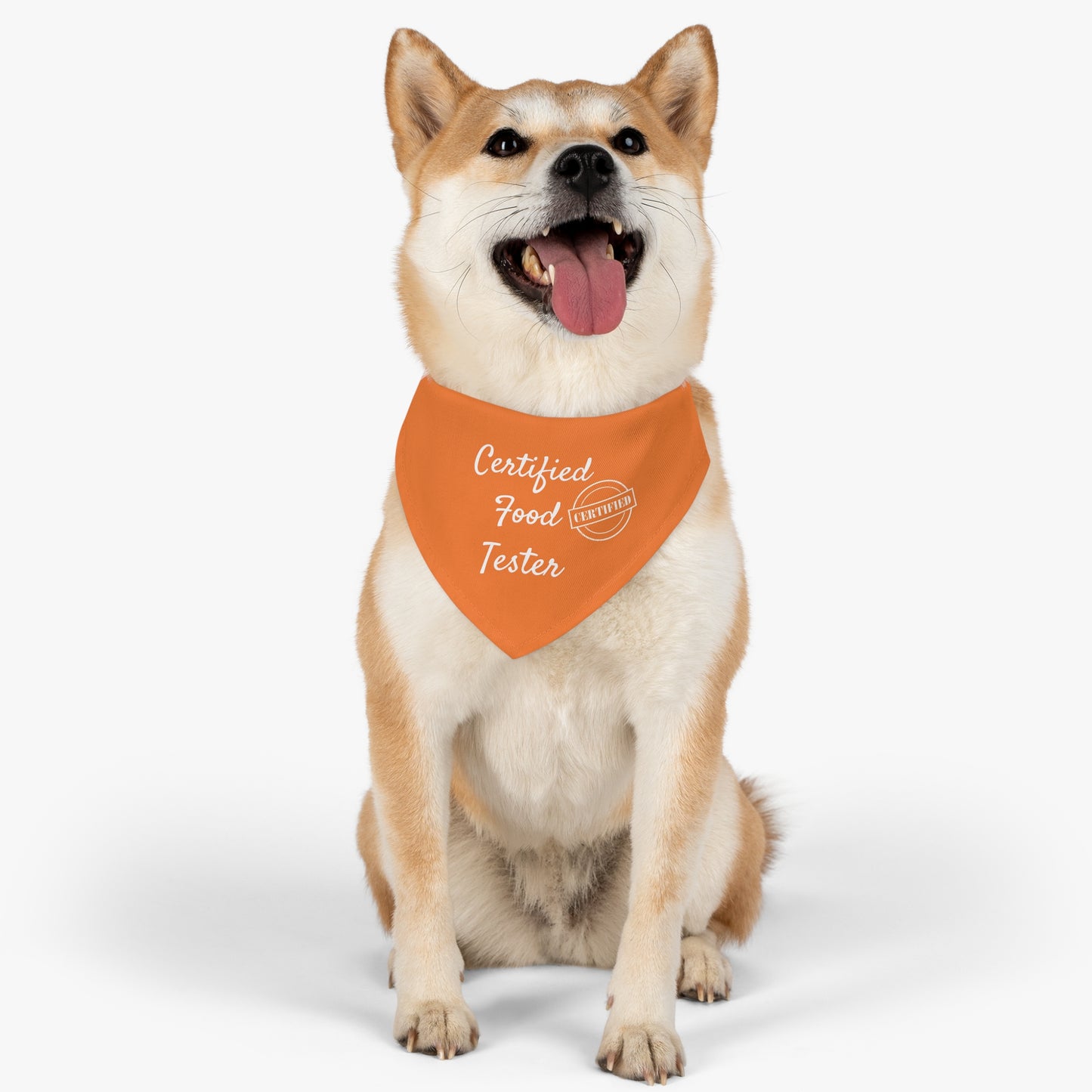 Pet Bandana Collar -  Certified Food Tester