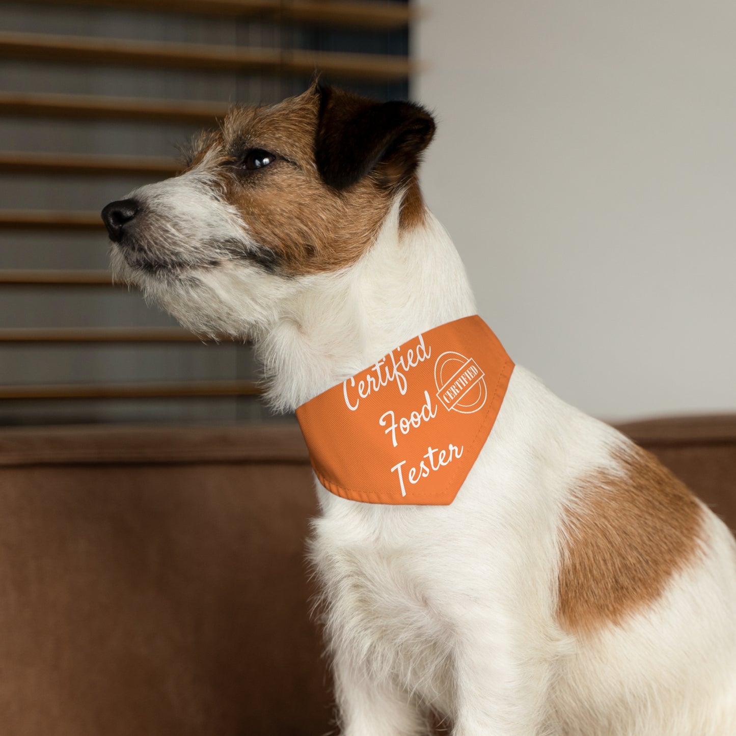 Pet Bandana Collar -  Certified Food Tester