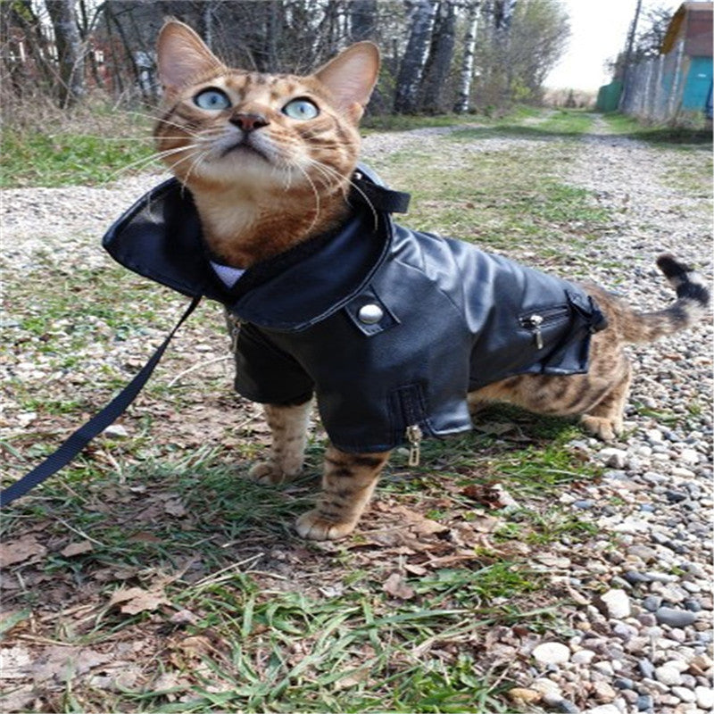 Pleather Biker Jacket