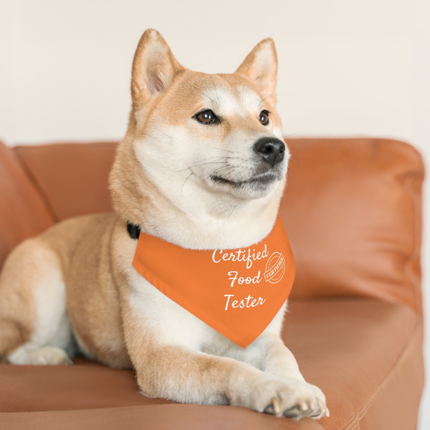 Pet Bandana Collar -  Certified Food Tester