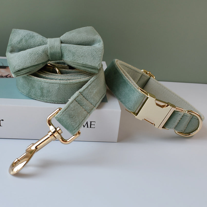 Mint Dog Collar Leash with Bow