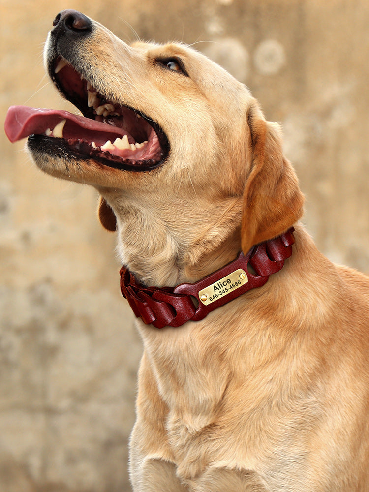 Custom Braided Leather Collar